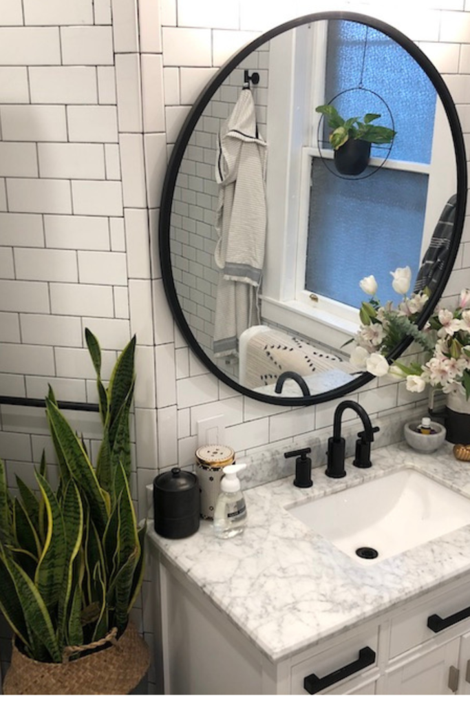 bathroom plant ideas