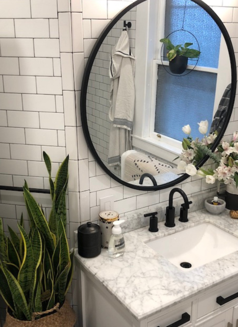 bathroom plant ideas